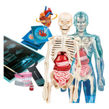 Jeu scientifique Clementoni - super anatomie - le corps humain - jouets éducatifs - à partir de 8 ans