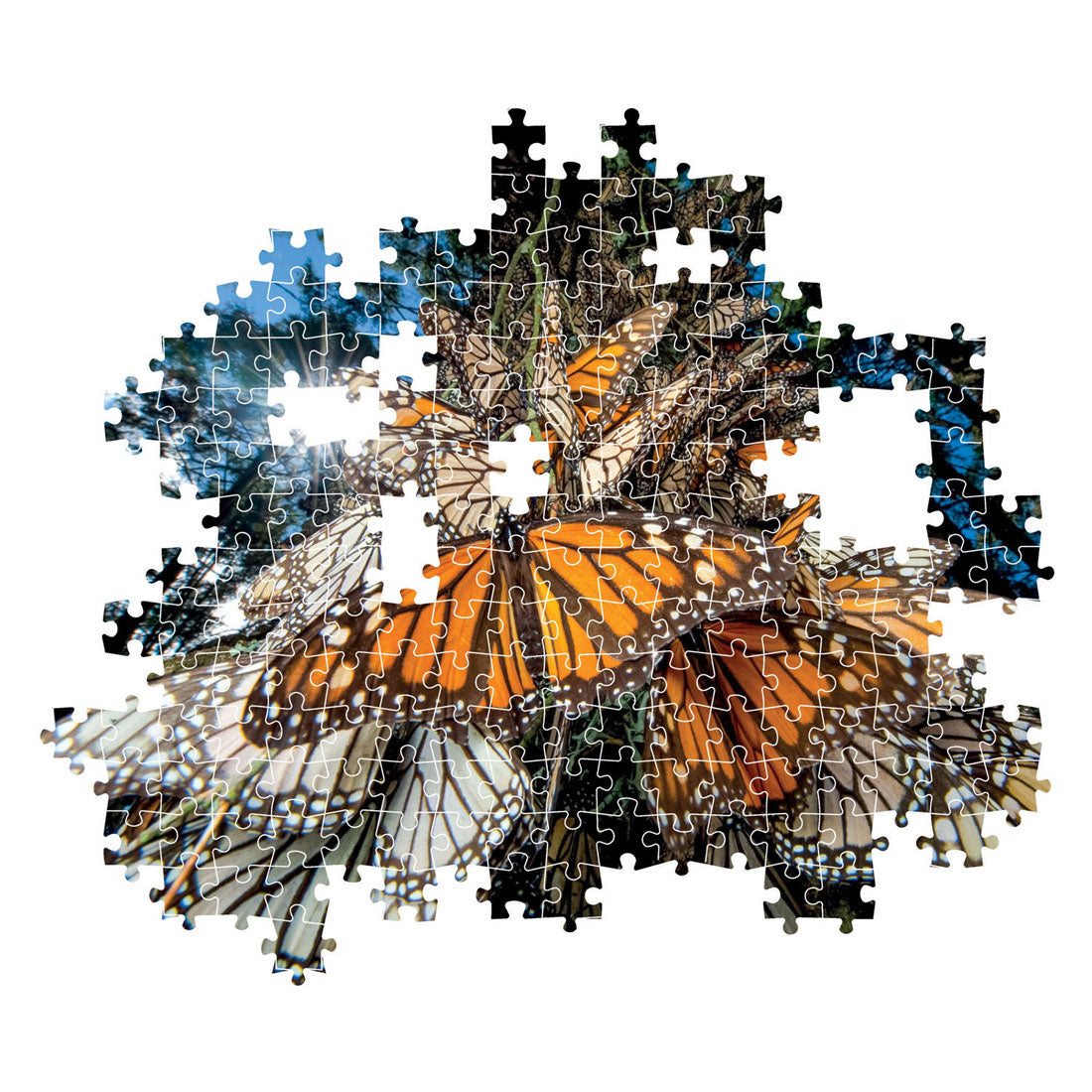 Clementi Jigsaw Puzzle National Geographics - Butterfly, 1000st.