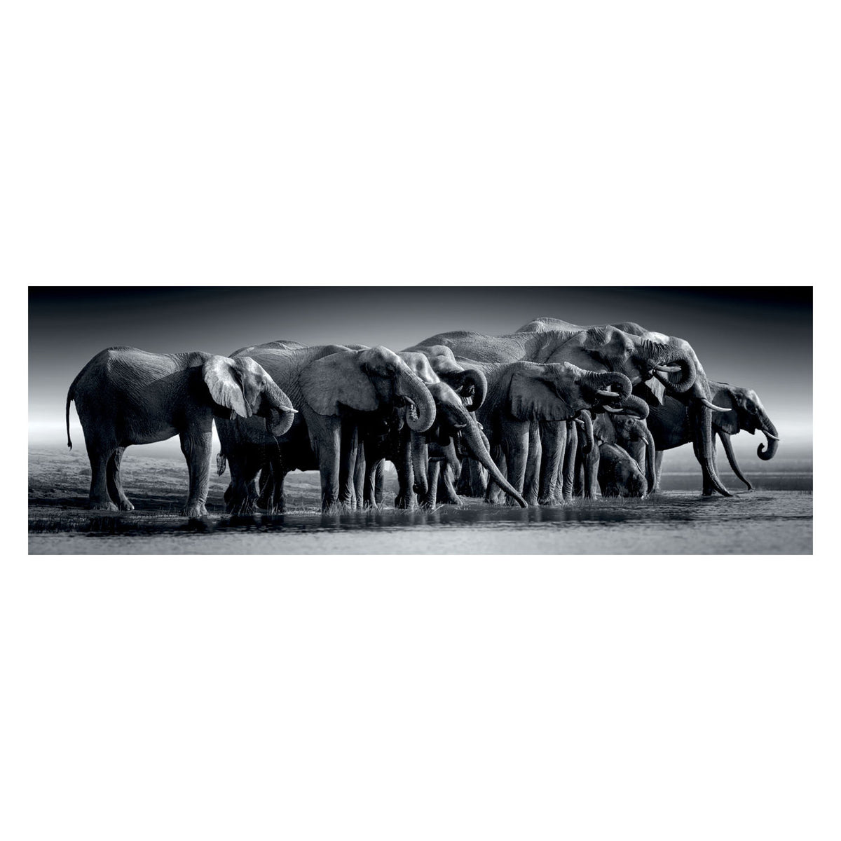 Clementoni - puzzle - 1000 pièces - troupeau de géants - puzzle pour adultes - collection de haute qualité