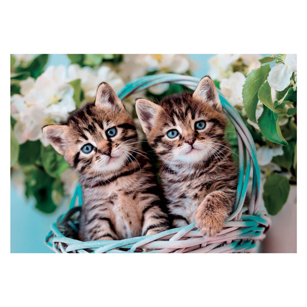 Clementi Jigsaw Puzzle Super Color Lovely Kitty Twins, 60st.