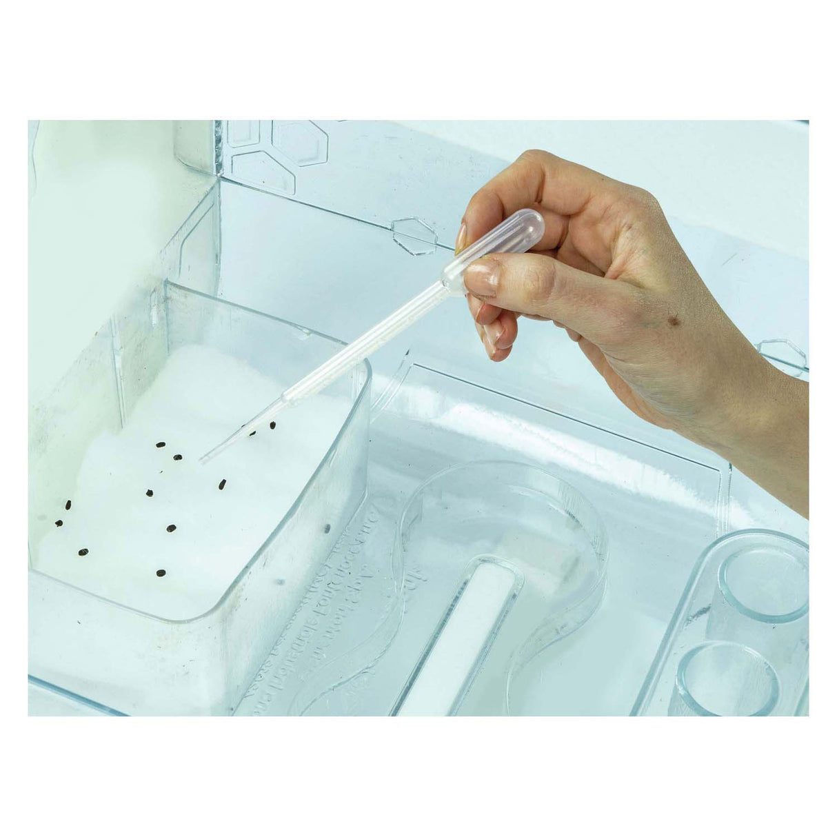 Serre scientifique Clementoni avec thermomètre