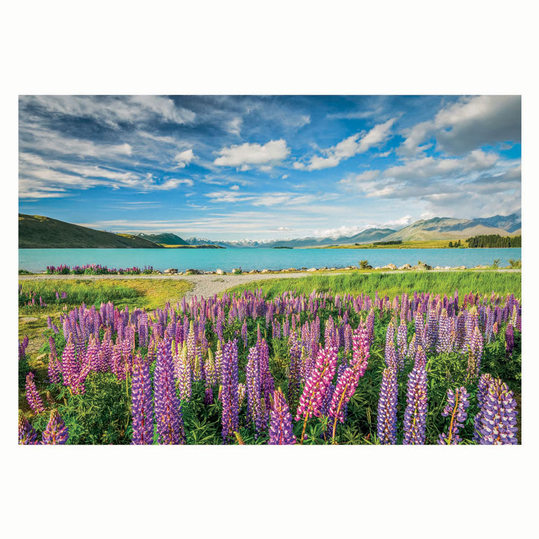 Clementoni puzzle fleurs au lac tekapo, 1500 pcs.