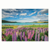 Clementoni puzzle fleurs au lac tekapo, 1500 pcs.