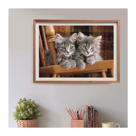 Clementoni puzzle chatons, 500 pcs.