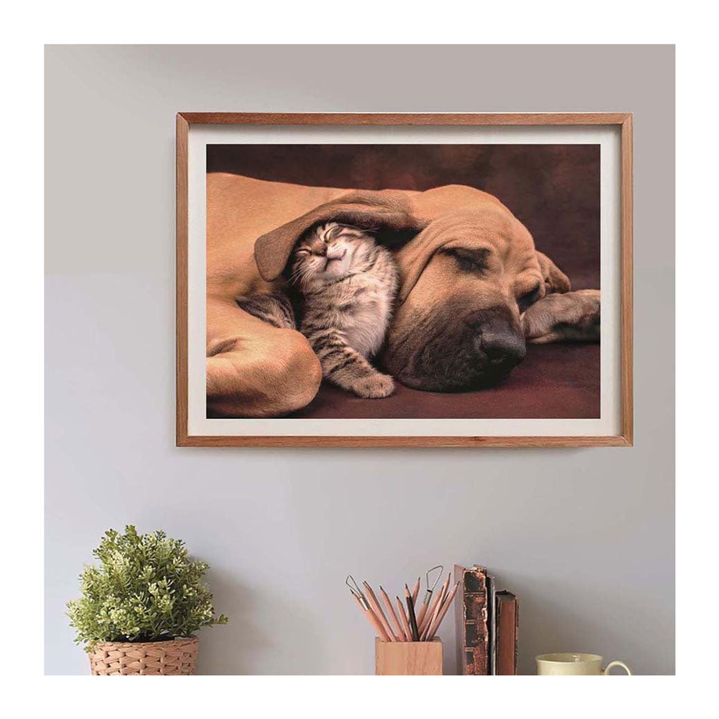 Clementoni puzzle chien et chat, 500 pcs.