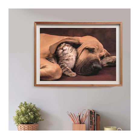 Clementoni puzzle chien et chat, 500 pcs.