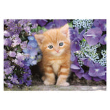 Clementoni clemetoni puzzle chat gingembre, 500 pcs.