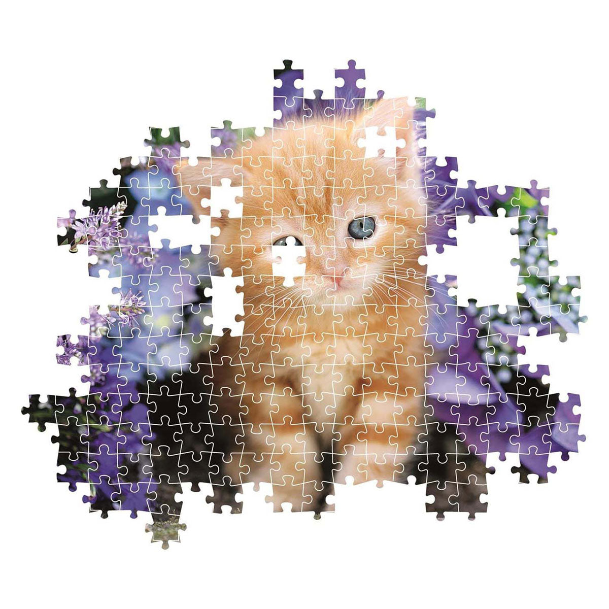 Clementoni clemetoni puzzle chat gingembre, 500 pcs.