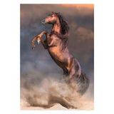 Clementoni puzzle étalon rouge sauvage, 500 pcs.
