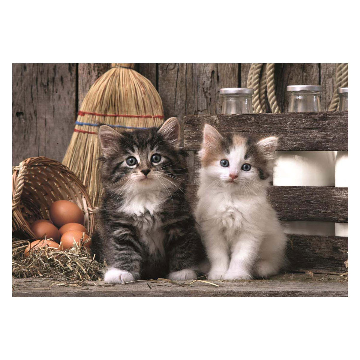 Puzzle Clementoni - chatons mignons, 1000 pcs.