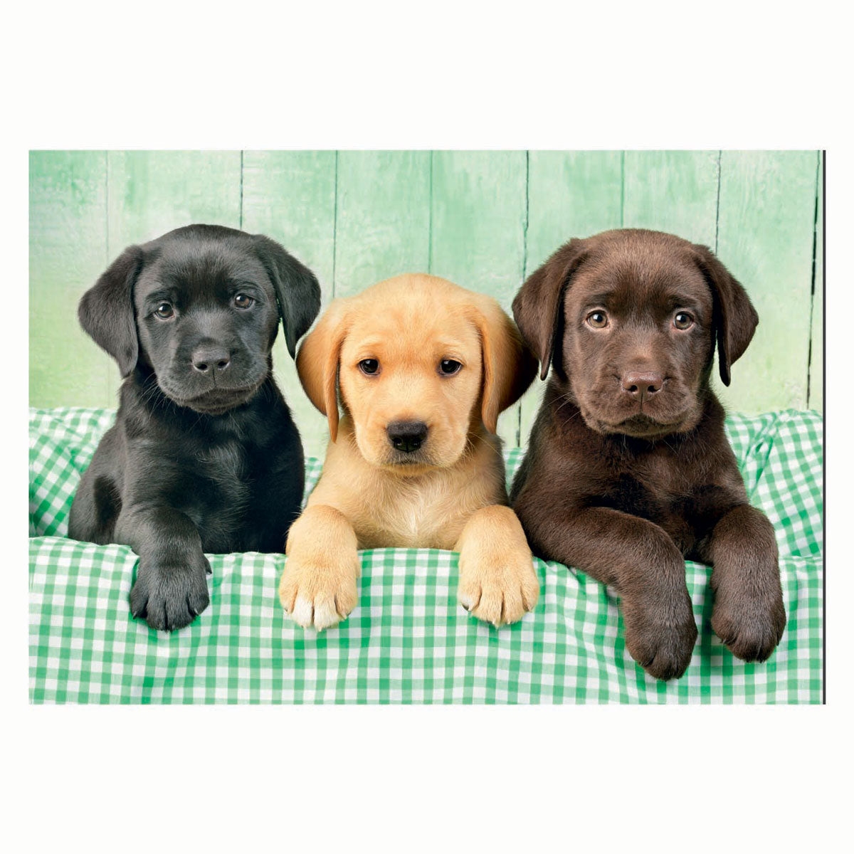 Clementoni puzzle trois laboratoires, 1000 pcs.