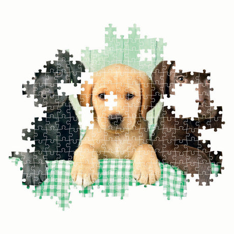 Clementoni puzzle trois laboratoires, 1000 pcs.