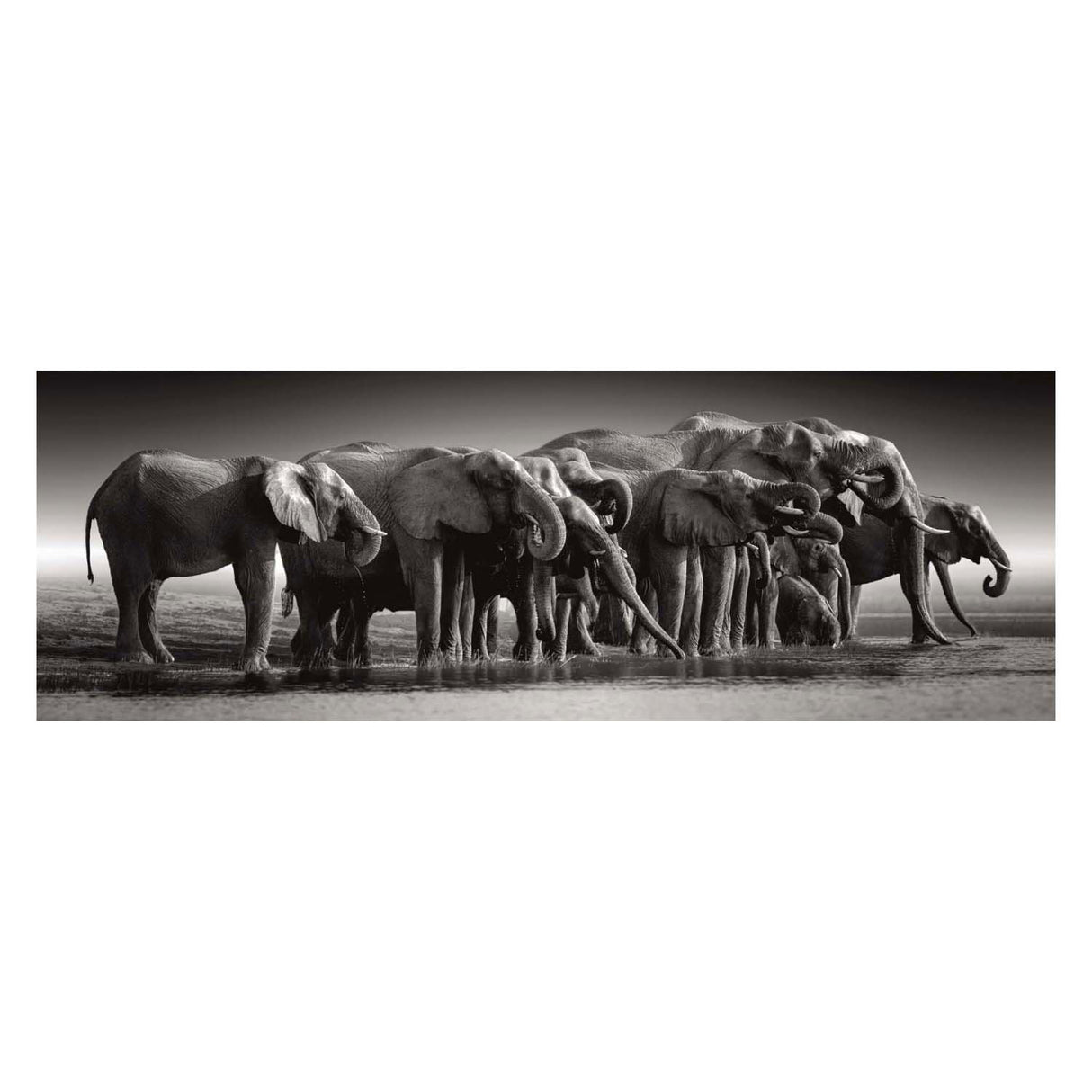 Clementoni puzzle troupeau de géants, 1000 pcs.