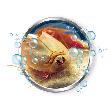 Clementoni wetenschap spel kweek je eigen triops