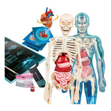 Science et jeu Clementoni - super anatomie
