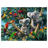 Ravensburger koalas i treet 500.