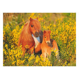 Ravensburger Shetland Ponies, 100.. Xxl