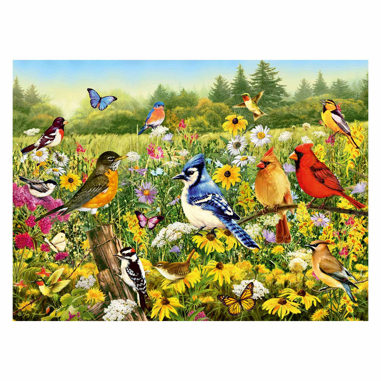 Ravensburger Birds in the Meadow Leg Puzzle, 500ST.