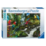 Bonte Papageien im Dschungel -Puzzle, 2000st.