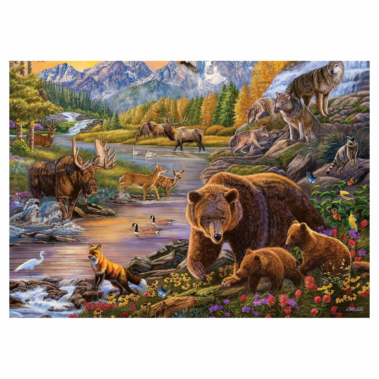 Ravensburger wildernis, 500st.