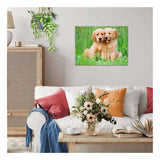 Ravensburger – les frères golden retriever – puzzle – 500 pièces
