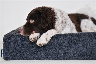 Housse polaire pour lit Bia panier pour chien gris