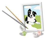 Ravensburger Creart peinture sur le numéro Border Collie
