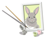 Ravensburger Creart Painting by Number - Gray Rabbit