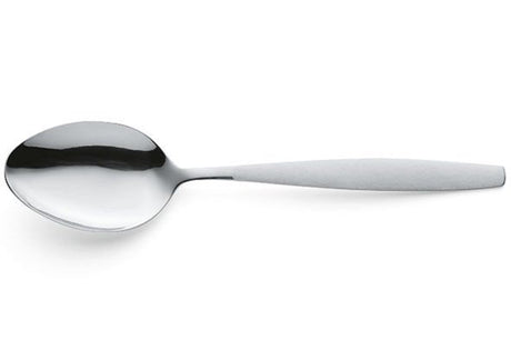 Cuillères à légumes Amefa 2 pcs en boîte c c
