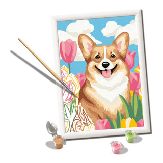 Ravensburger – creart : corgi floral – peinture par numéros