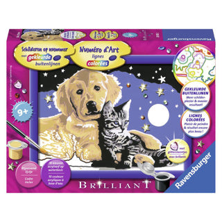 Ravensburger peinture par numéro beau ciel étoilé