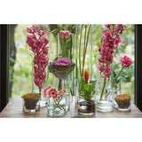 Vase cylindre B-living verre ø12xh25cm