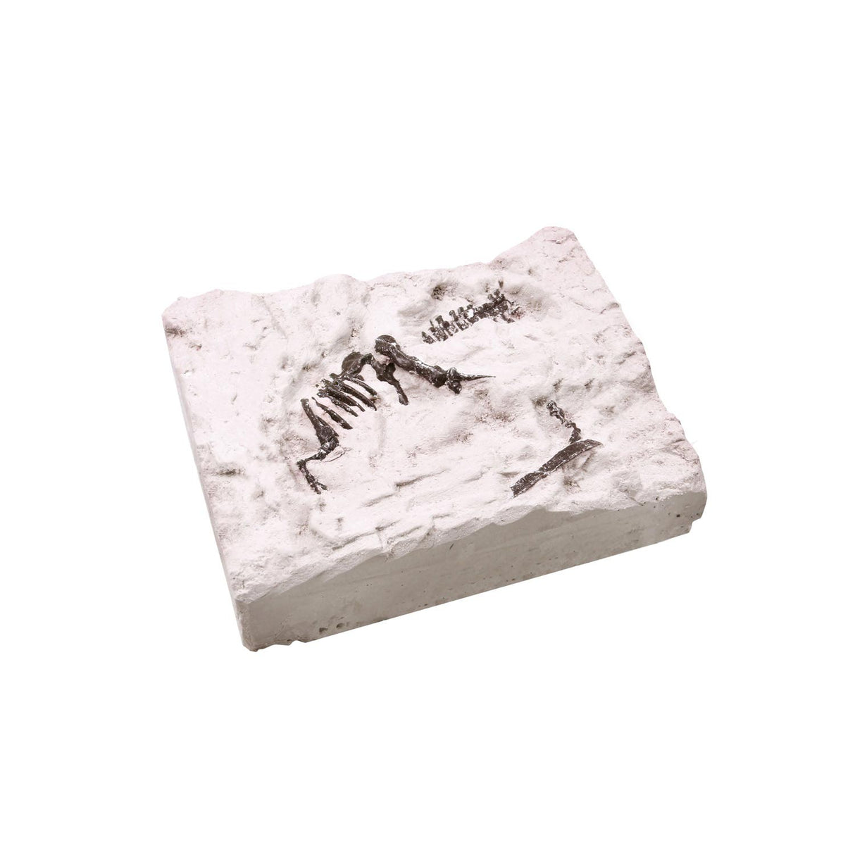 Coffret de fouilles du monde des dinosaures 'Dino Fossile'