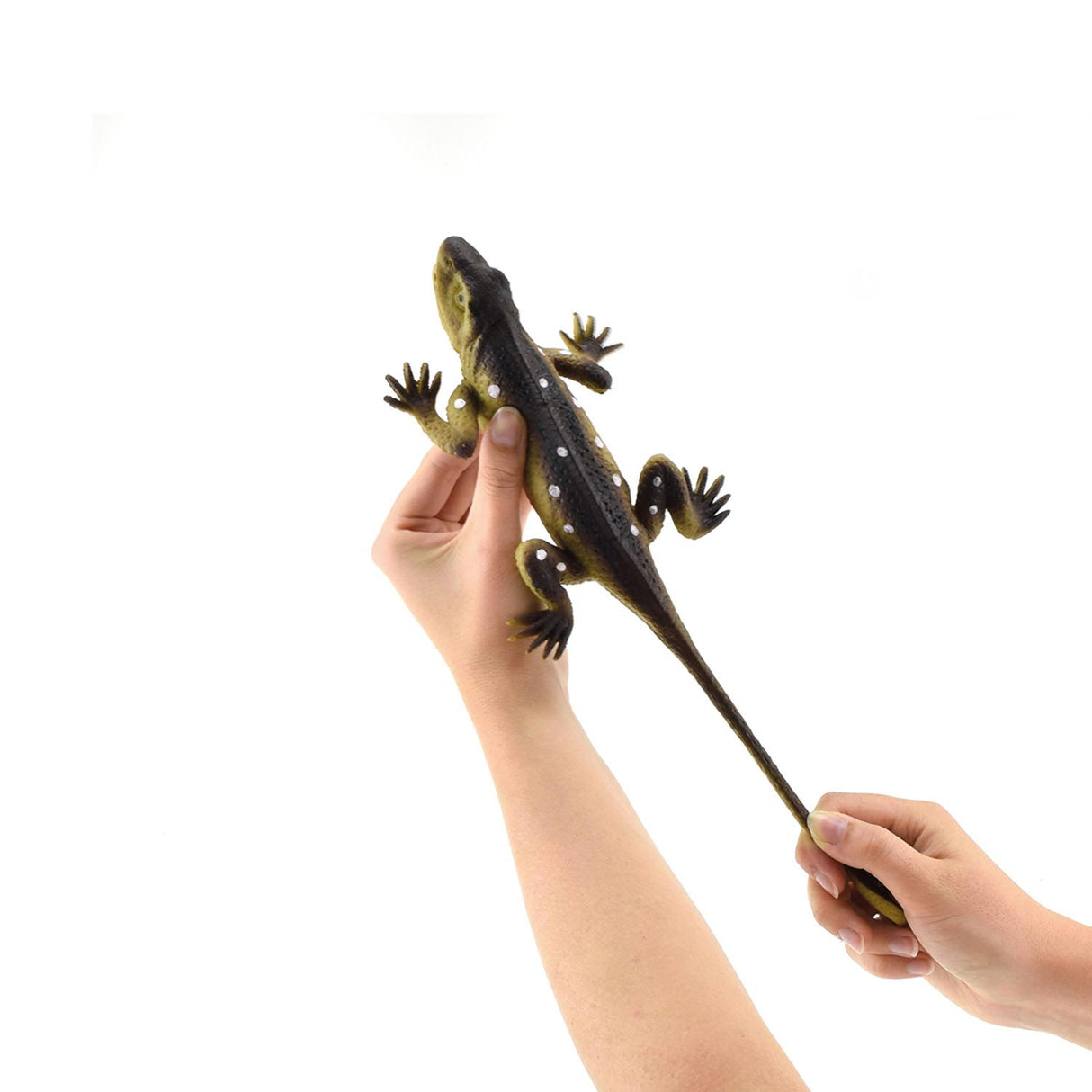 Toi-toys reptile réaliste sur carte