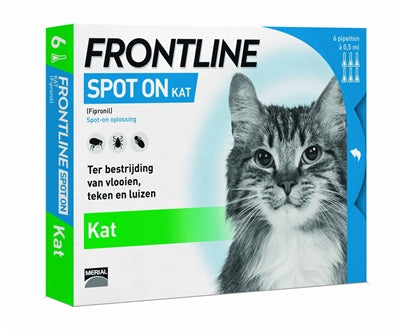 Frontline Kat Spot auf