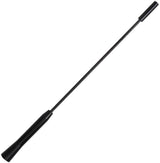 Autostyling seehase seehase antennes d'antenne de voiture ensemble universel autostyling