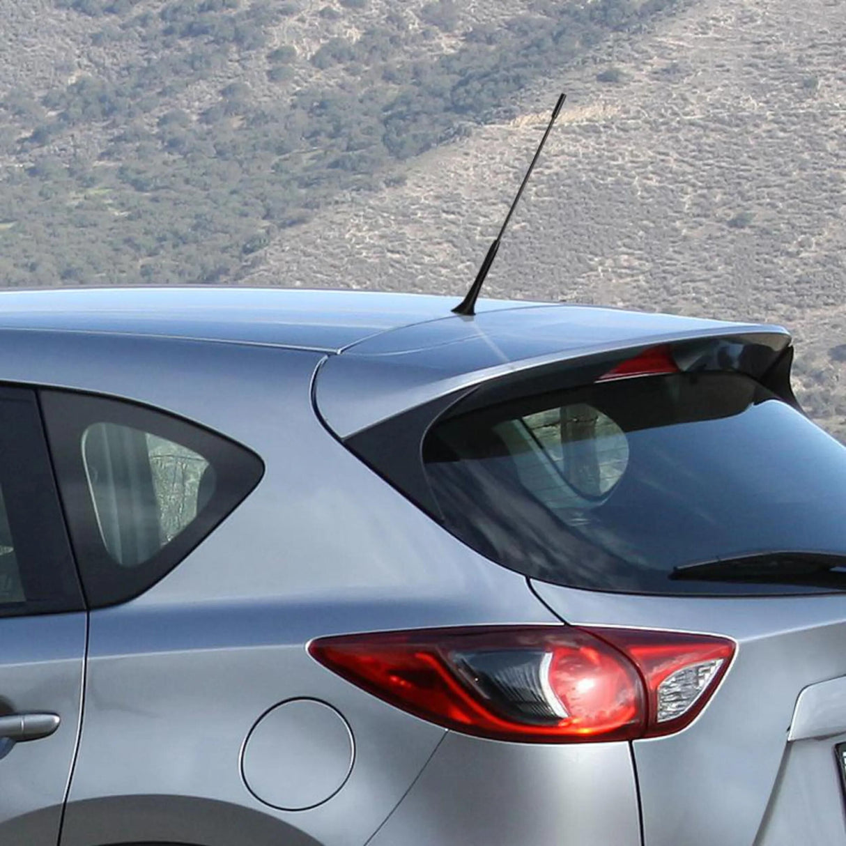 Autostyling seehase seehase antennes d'antenne de voiture ensemble universel autostyling