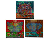 Grafix toile diamant peinture tigre, 30x30cm