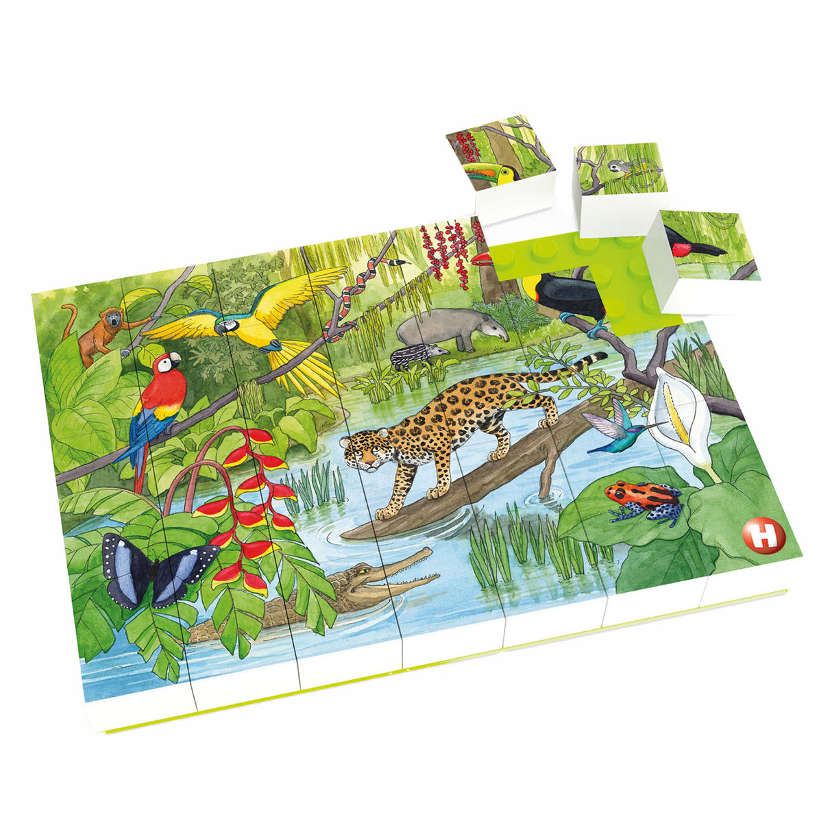 Hubelino Block Puzzle Animaux sauvages dans la forêt tropicale Rainfore, 35e.