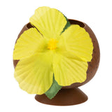 Boland Party Cup noix de coco