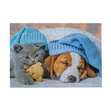 Puzzle tactique chaton mignon et chien endormi, 100 pièces