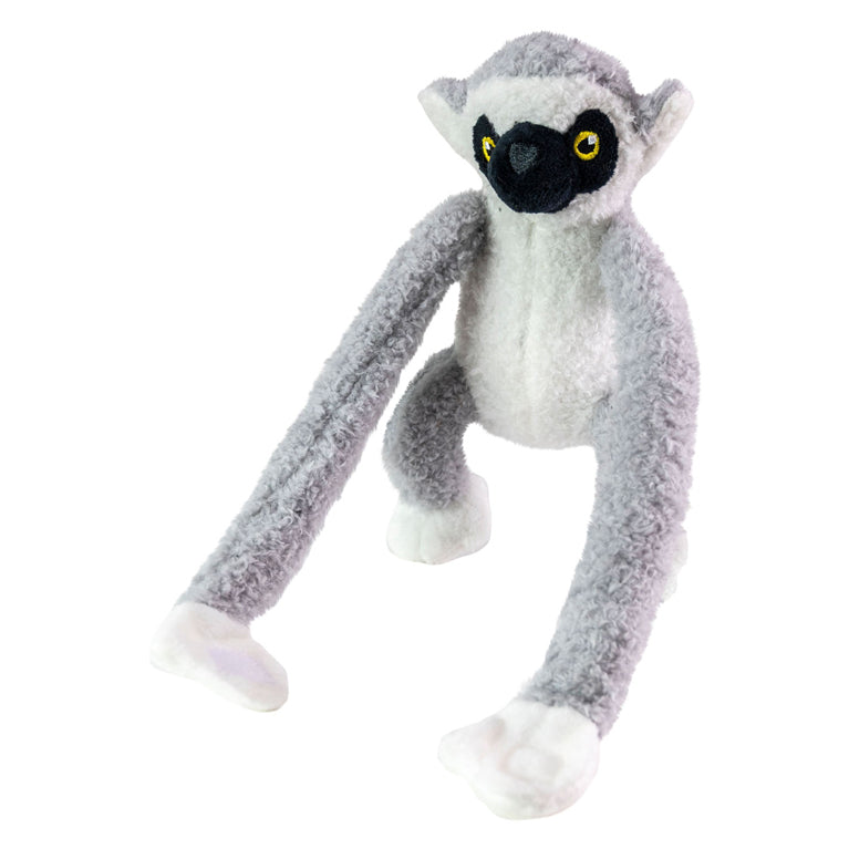 Taktikkollegen kuscheln Lemur Maki grau schwarz