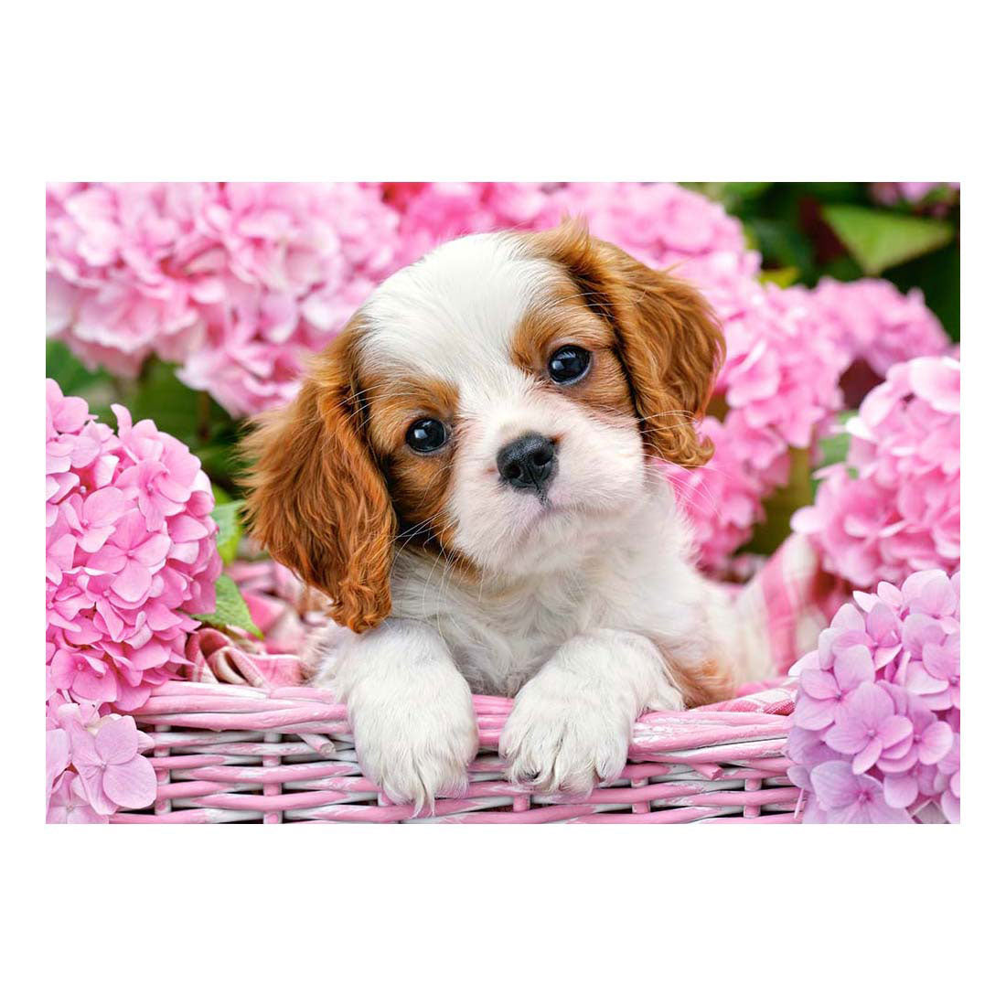 Selecta castorland puzzle chiot en fleurs roses, 500 pcs.