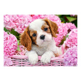 Selecta castorland puzzle chiot en fleurs roses, 500 pcs.