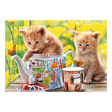 Selecta Castorland Puzzle Tea Time, 500 pcs.
