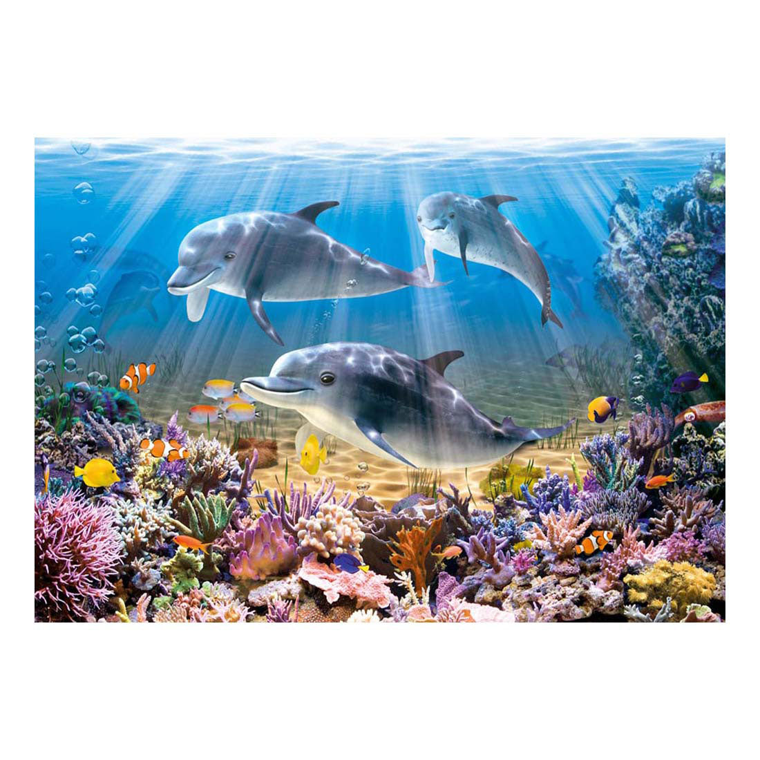 Selecta Castorland Puzzle Dauphins sous l'eau, 500 pcs.