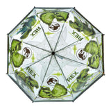 Parapluie infiltré du parc jurassique