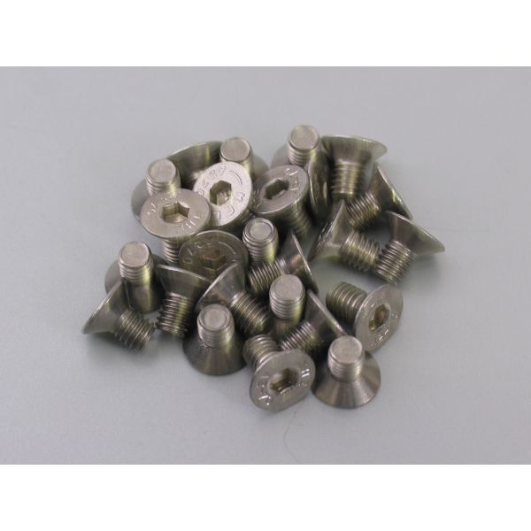 Bofix Allenbout M6X10 en acier inoxydable avec tête coulée (25 pièces)
