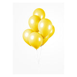 Globos Ballononen olle 30 cm, 10..