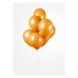 Globos ballonger oranje 30cm, 10t.